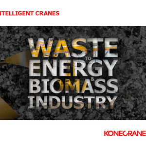 Download the Waste-to-energy and Biomass Book image