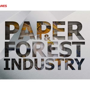 The Paper and Forest Industry Book image