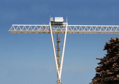 wood_log_straight_track_portal_cranev42.jpg