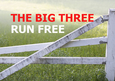 Watch the big three run free at TOC Europe, Rotterdam