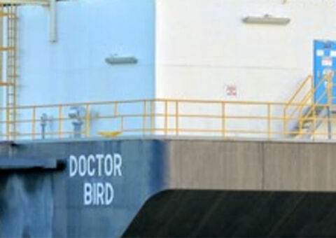 Wartsila in the Caribbean