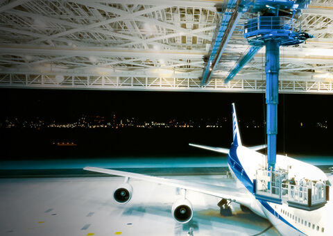 Teleplatform for aircraft maintenance