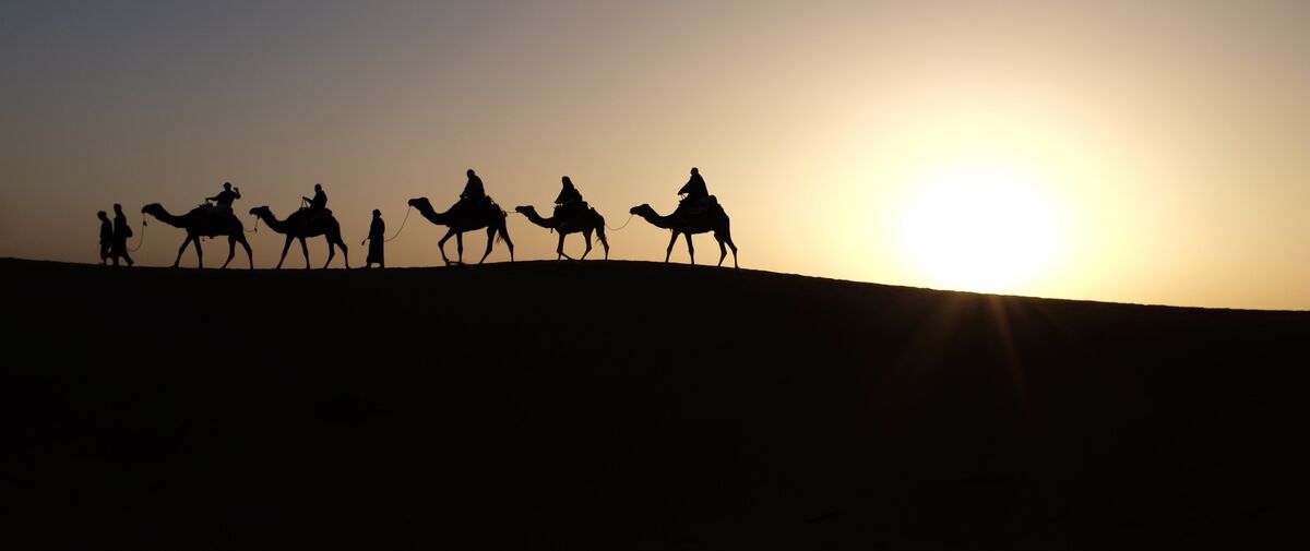 Camel caravan in the desert