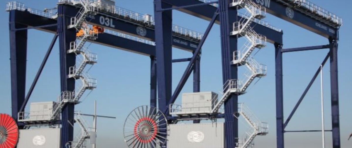 Row of Barcelona ASCs