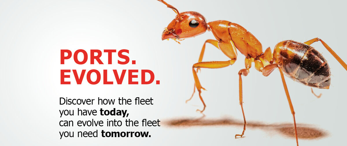 Ports. Evolved. webinar ad