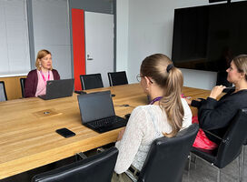 Liisa Heino in a meeting